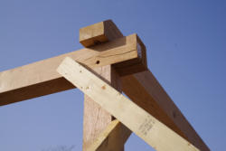 Timber supports