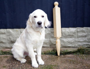 Freddie with an Oak Finial