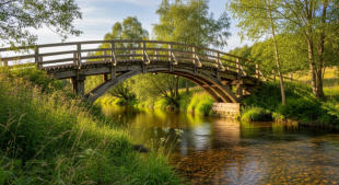 Oak Bridge