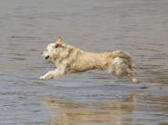 Walking on Water